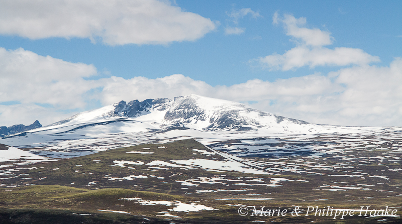 Dovrefjell 1984.jpg - Vue depuis la cabane du Tjerrfjell (Dovrefjell, Norvège, juin 2012)